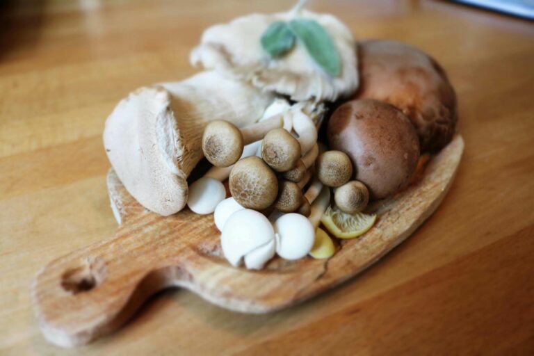 how long are mushrooms good for