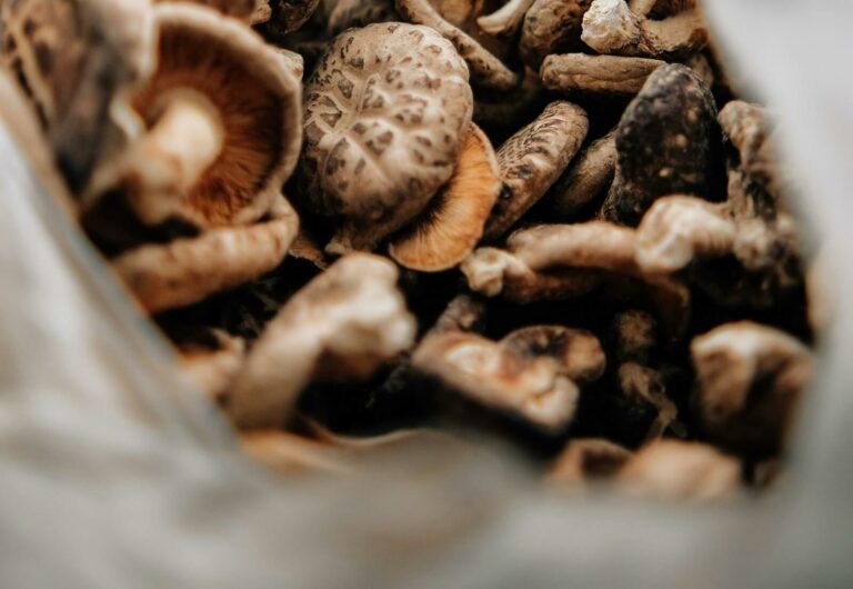 how to grow mushrooms in a grow bag